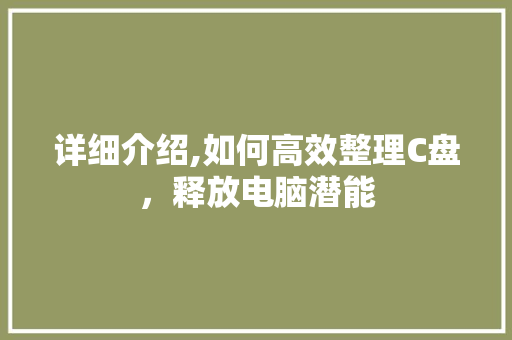 详细介绍,如何高效整理C盘，释放电脑潜能