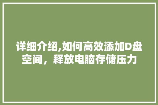 详细介绍,如何高效添加D盘空间，释放电脑存储压力