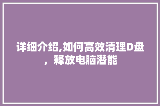 详细介绍,如何高效清理D盘，释放电脑潜能
