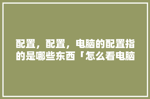 配置，配置，电脑的配置指的是哪些东西「怎么看电脑配置解读器型号」 配置，配置，电脑的配置指的是哪些东西「怎么看电脑配置解读器型号」 电脑配置