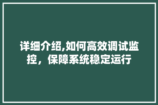 详细介绍,如何高效调试监控，保障系统稳定运行