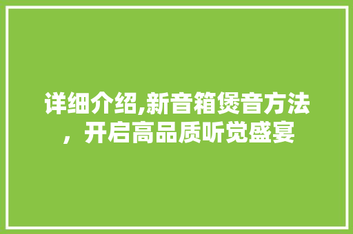 详细介绍,新音箱煲音方法，开启高品质听觉盛宴 操作系统