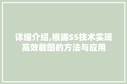 详细介绍,根据S5技术实现高效截图的方法与应用 电脑配置 详细介绍,根据S5技术实现高效截图的方法与应用 电脑配置