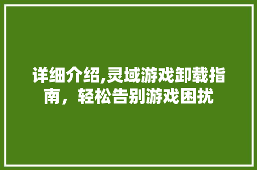 详细介绍,灵域游戏卸载指南，轻松告别游戏困扰 电脑配置