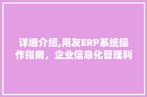 详细介绍,用友ERP系统操作指南，企业信息化管理利器