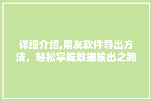 详细介绍,用友软件导出方法，轻松掌握数据输出之路