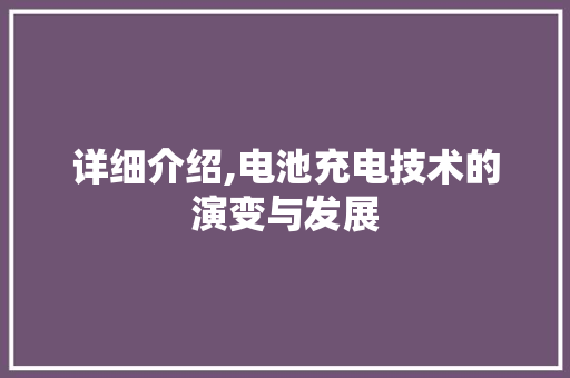 详细介绍,电池充电技术的演变与发展 电脑配置