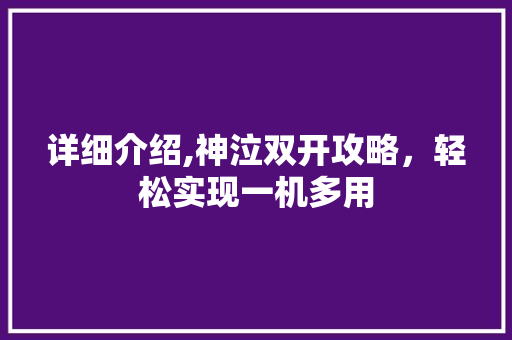 详细介绍,神泣双开攻略，轻松实现一机多用