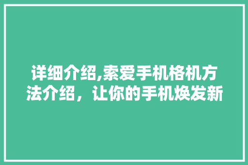 详细介绍,索爱手机格机方法介绍，让你的手机焕发新生 网络技术