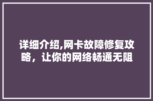 详细介绍,网卡故障修复攻略，让你的网络畅通无阻 电脑故障维修
