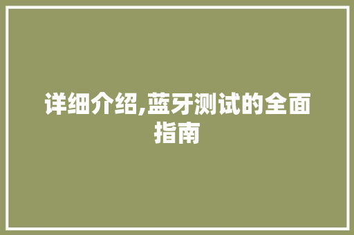 详细介绍,蓝牙测试的全面指南