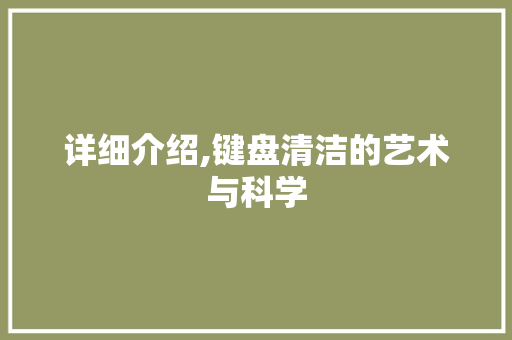 详细介绍,键盘清洁的艺术与科学 网络技术