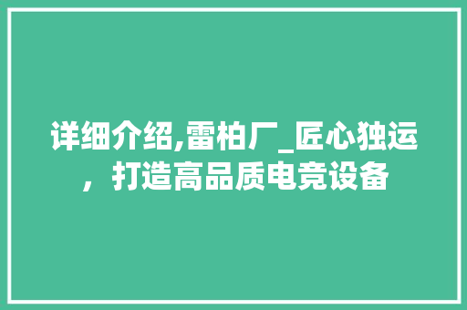 详细介绍,雷柏厂_匠心独运，打造高品质电竞设备 操作系统