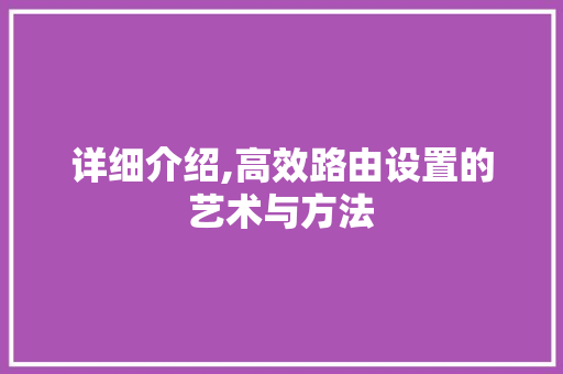 详细介绍,高效路由设置的艺术与方法