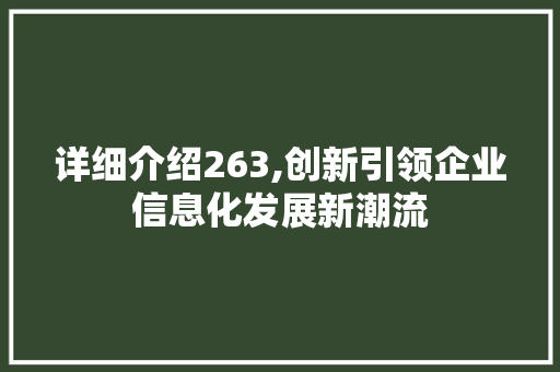 详细介绍263,创新引领企业信息化发展新潮流 编程语言