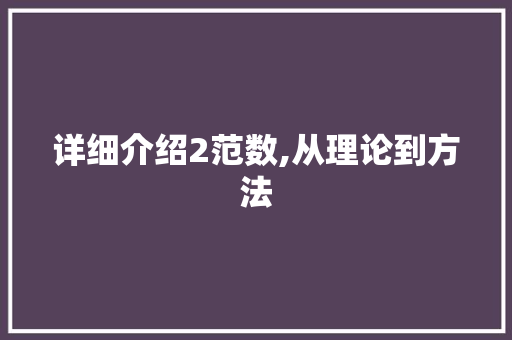 详细介绍2范数,从理论到方法
