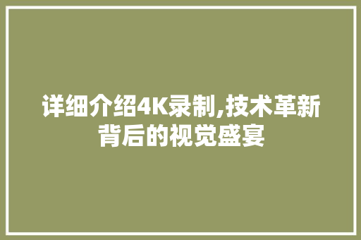 详细介绍4K录制,技术革新背后的视觉盛宴