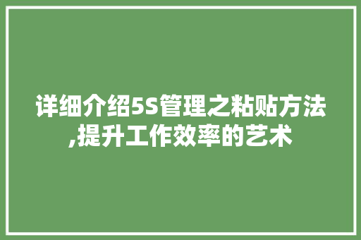 详细介绍5S管理之粘贴方法,提升工作效率的艺术