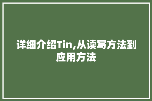 详细介绍Tin,从读写方法到应用方法