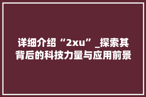详细介绍“2xu”_探索其背后的科技力量与应用前景