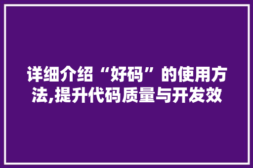 详细介绍“好码”的使用方法,提升代码质量与开发效率的关键