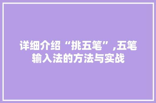 详细介绍“挑五笔”,五笔输入法的方法与实战 电脑故障维修