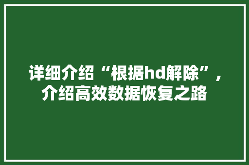 详细介绍“根据hd解除”,介绍高效数据恢复之路 编程语言