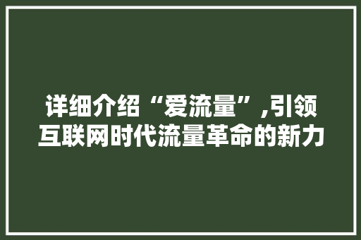 详细介绍“爱流量”,引领互联网时代流量革命的新力量