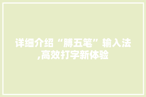 详细介绍“膊五笔”输入法,高效打字新体验
