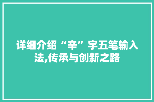 详细介绍“辛”字五笔输入法,传承与创新之路