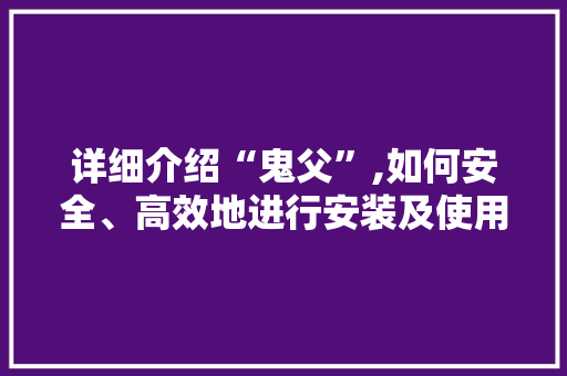 详细介绍“鬼父”,如何安全、高效地进行安装及使用
