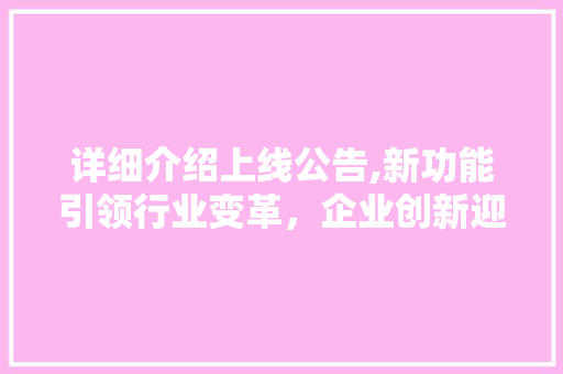 详细介绍上线公告,新功能引领行业变革，企业创新迎来新机遇