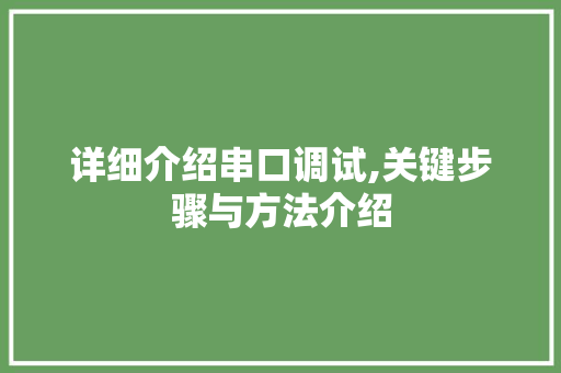 详细介绍串口调试,关键步骤与方法介绍