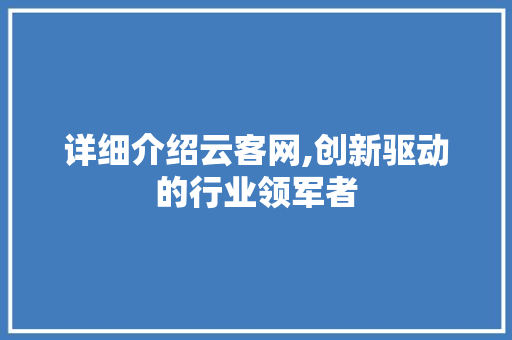 详细介绍云客网,创新驱动的行业领军者