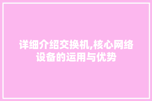 详细介绍交换机,核心网络设备的运用与优势