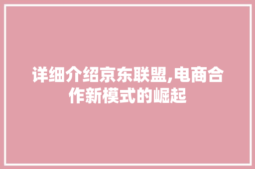 详细介绍京东联盟,电商合作新模式的崛起
