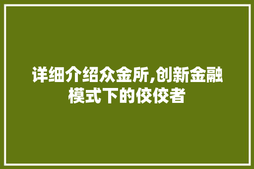 详细介绍众金所,创新金融模式下的佼佼者 编程语言