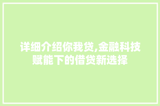 详细介绍你我贷,金融科技赋能下的借贷新选择