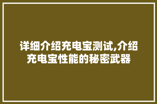 详细介绍充电宝测试,介绍充电宝性能的秘密武器