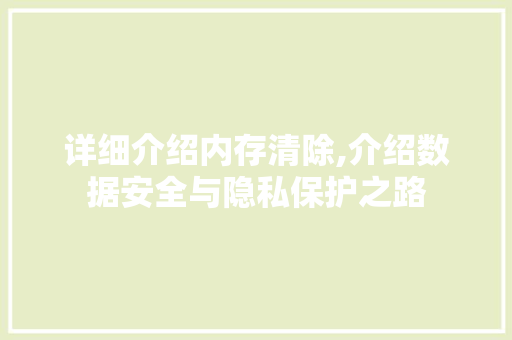 详细介绍内存清除,介绍数据安全与隐私保护之路