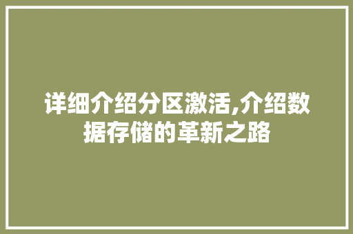 详细介绍分区激活,介绍数据存储的革新之路 详细介绍分区激活,介绍数据存储的革新之路
