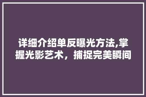 详细介绍单反曝光方法,掌握光影艺术，捕捉完美瞬间