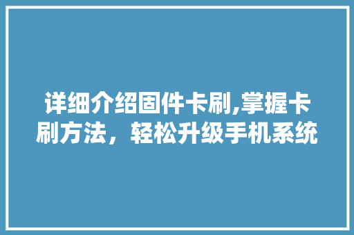 详细介绍固件卡刷,掌握卡刷方法，轻松升级手机系统