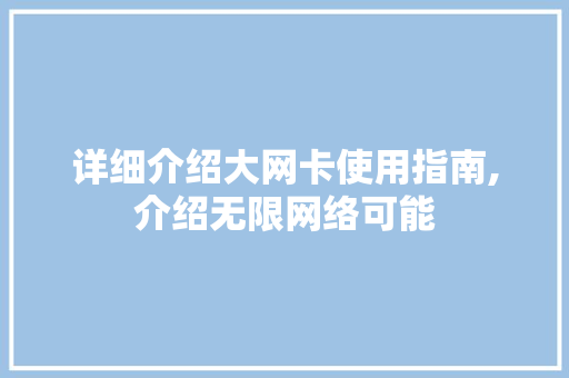 详细介绍大网卡使用指南,介绍无限网络可能