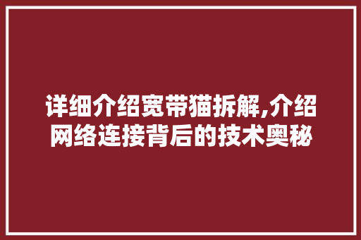 详细介绍宽带猫拆解,介绍网络连接背后的技术奥秘