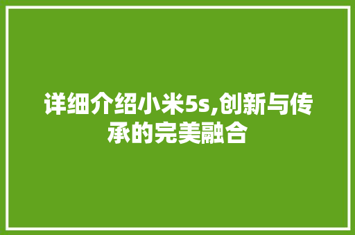 详细介绍小米5s,创新与传承的完美融合