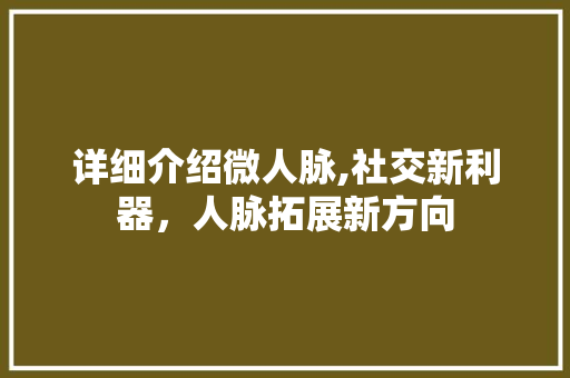 详细介绍微人脉,社交新利器，人脉拓展新方向 网络技术