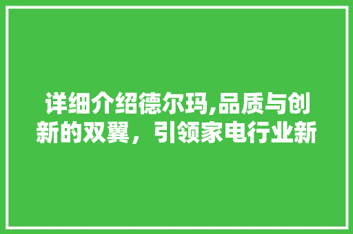详细介绍德尔玛,品质与创新的双翼，引领家电行业新风向