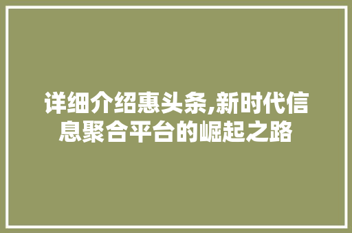 详细介绍惠头条,新时代信息聚合平台的崛起之路 操作系统