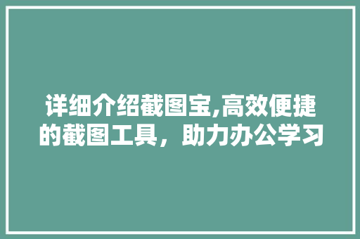 详细介绍截图宝,高效便捷的截图工具，助力办公学习新体验 电脑配置